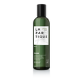 Clear Regulating Shampoo