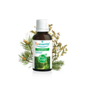 Walk in the Forest Essential Oils for Diffusion