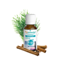 Meditation Essential Oils for Diffusion