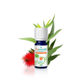 Organic Eucalyptus Radiata Essential Oil