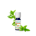 Organic Peppermint Essential Oil