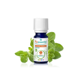Organic Oregano Compact Essential Oil