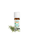 Organic Camphor Rosemary Essential Oil