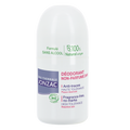Fragrance Free Roll-On