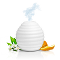 Ultrasonic Diffuser Humidifier API