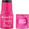 What A Tint! Staining Lip & Cheek Tint