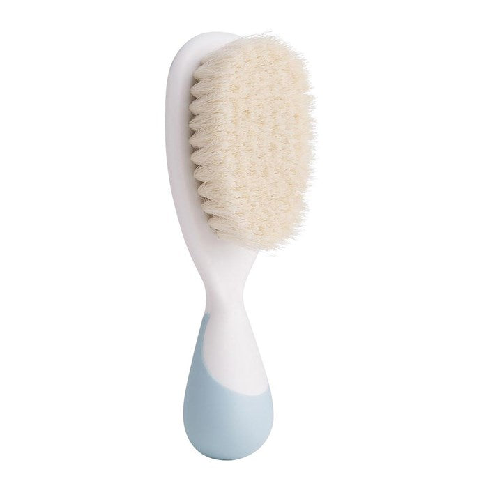 Brush & Comb 0m+