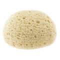 Extra-Absorbent Sponge 0M+