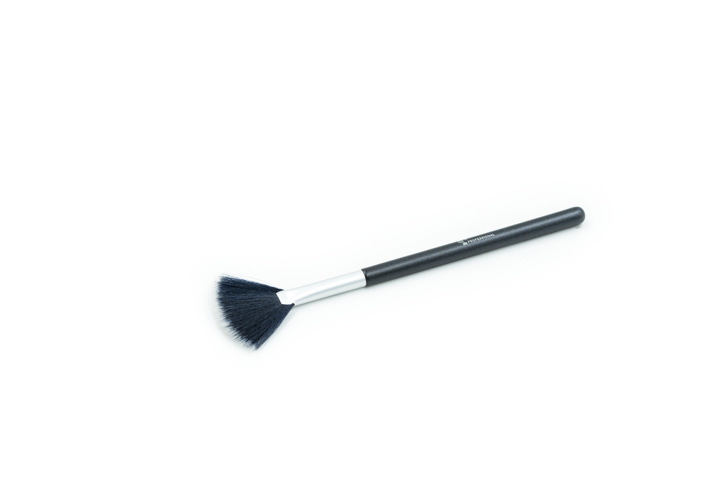 FAN BRUSH